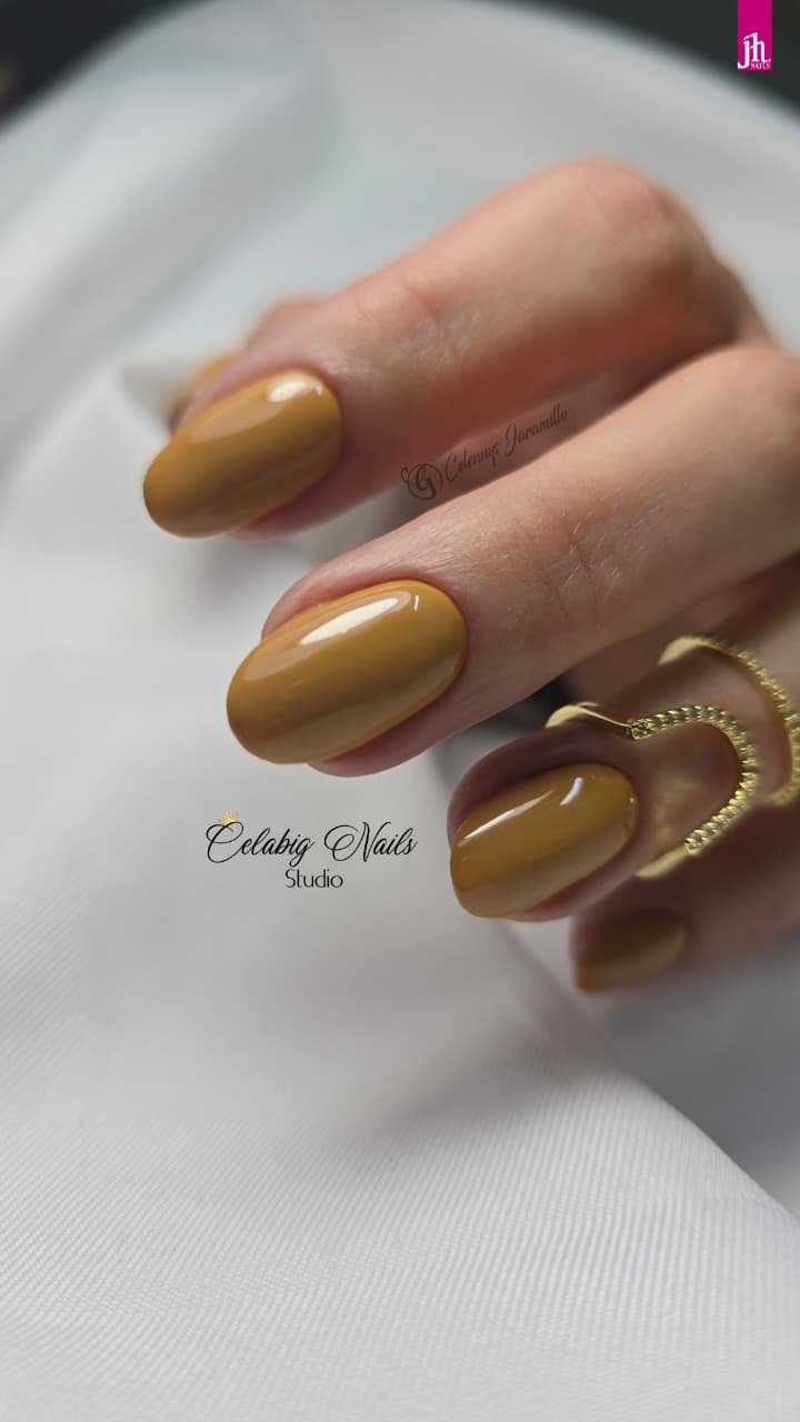 WhatsApp Image 2026-02-11 at 11.33.06 PM